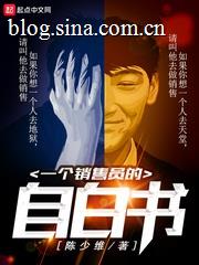 一个销售员的自白书